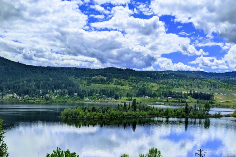 主页 园区之家 Mobile Home Park 华人Mobile Home Park交流平台